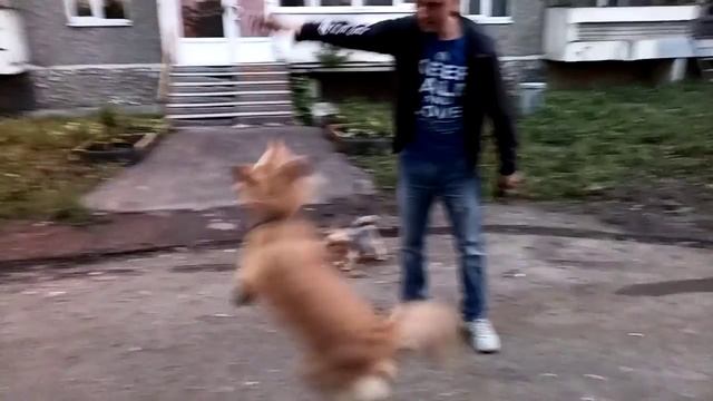 5 июля 2020 г. смотреть онлайн