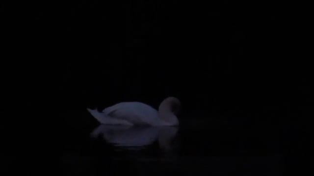 Кажется Айседора смотреть онлайн
