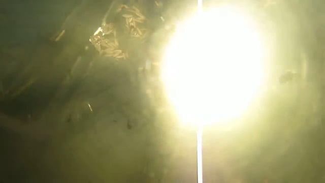 My First Homemade Underwater Camera Housing Footage смотреть онлайн