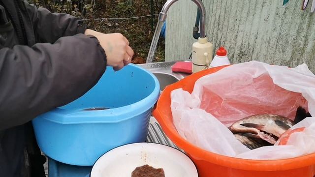 Дела хозяйские /#икра #рыба смотреть онлайн