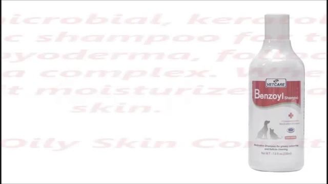 Medicated Shampoo смотреть онлайн