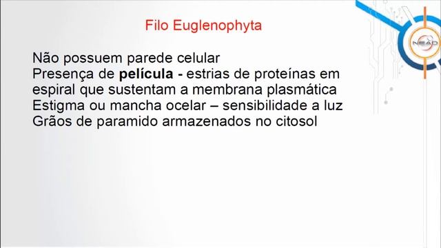 [BIO] Sistemática Vegetal I - Euglenófitas смотреть онлайн