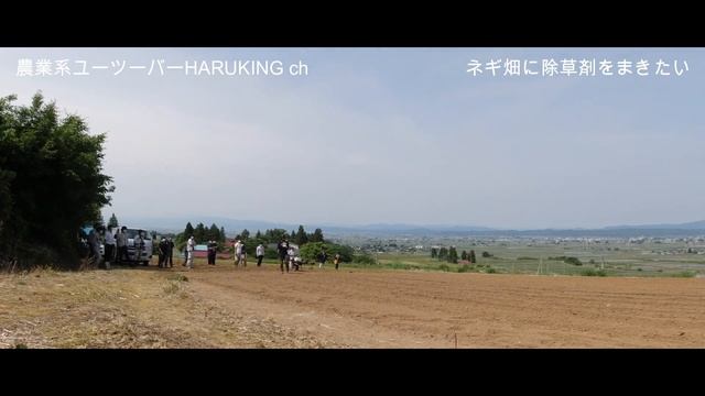 【畑でドローン】ネギ栽培圃場にゴーゴーサン細粒剤を散布したい【DJI AGRAS MG-1P RTK】