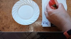 Томат Гном Укус змеи