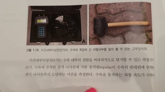 책 ㅡ 수목 진단에 필요한 도구 및 장비 смотреть онлайн