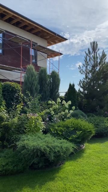 ХВОЙНО-ЛИСТВЕННЫЙ МИКСБОРДЕР 🌳#ландшафтныйдизайн #катеринаагамалова #сад #gardening #shorts смотреть онлайн