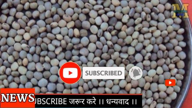 29 December 2022,ग्वार का भाव।ग्वार का ताजा भाव आज ।Guar ka taza bhav.Guar ka bhav.Guargum ka bhav смотреть онлайн