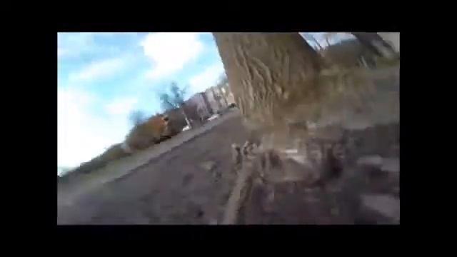 Білка вкрала камеру