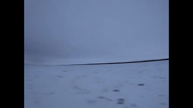 #15 Охота на зайца, первый заяц сезона 2020-2021 смотреть онлайн