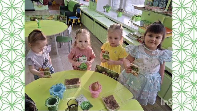 Посадка микрозелени в группе "Дружная семейка" смотреть онлайн