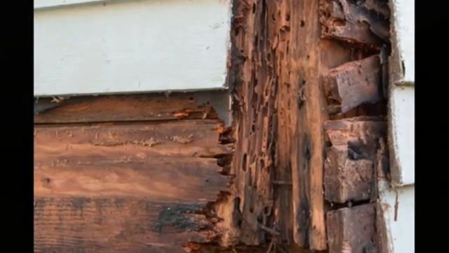 AAA Monrovia Wood Repair call Shafran 310-295-1960 смотреть онлайн