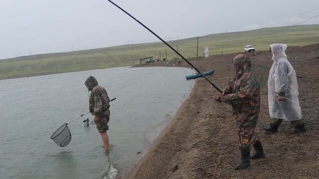 Сазан на 2 кг смотреть онлайн