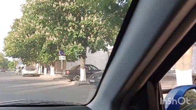 Счастливы в Ейске. 19 мая - цветут Ирисы. Коты экономят свою "энергию" ,в жаркую погоду. Лиман... смотреть онлайн