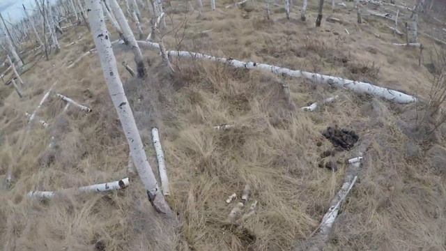 Весенняя охота на водоплавающую дичь 2021