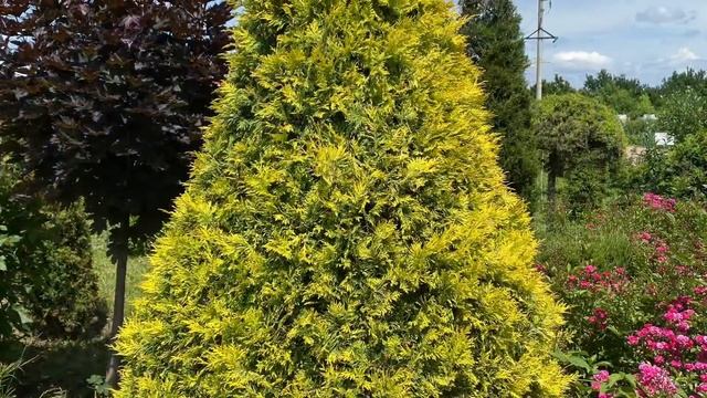 7 июля 2023 г. Иноземский парк . Кисловодск смотреть онлайн