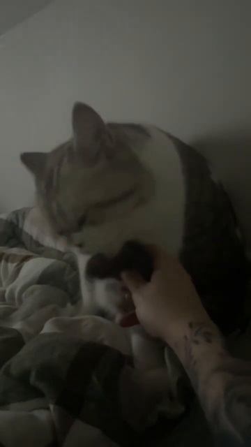 Man hilft wo man kann 😅 смотреть онлайн