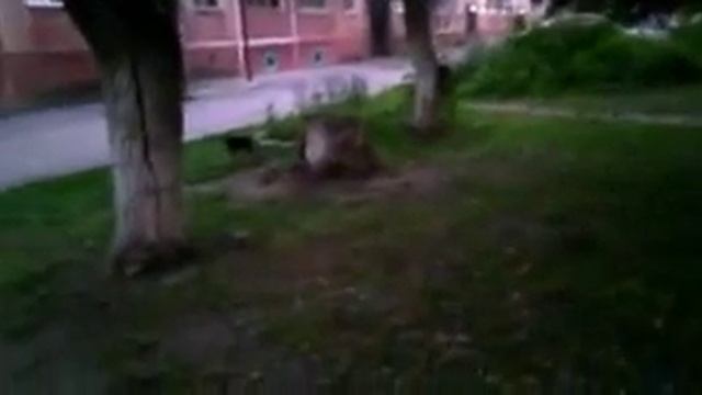 Жизнь лили смотреть онлайн