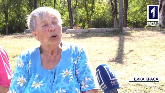 Лебеді на Титинському ставку смотреть онлайн