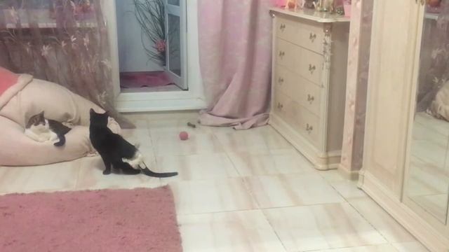 Пробкой вылетел с балкона смотреть онлайн
