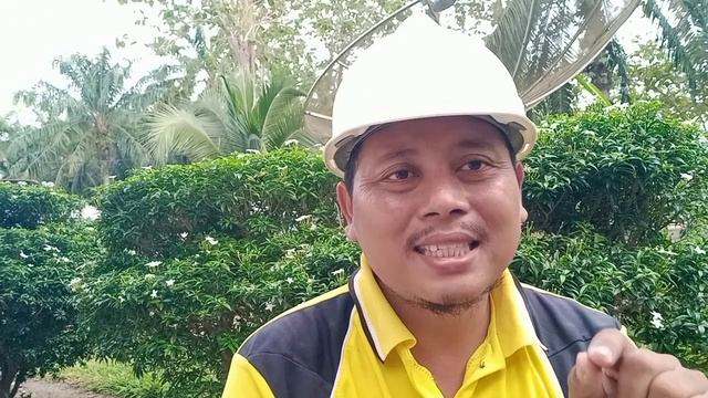 Alasan kenapa dolomit tidak boleh dicampur dengan pupuk kalium смотреть онлайн