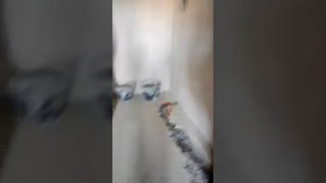 Миловский парк Дом 5.4 от 04.09.18 Видео 16 смотреть онлайн