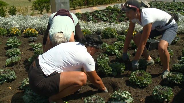 Сотрудники коммунальной службы занимаются озеленением Шебекинского горокруга смотреть онлайн