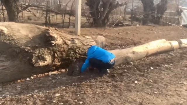 Ястреб 1 смотреть онлайн