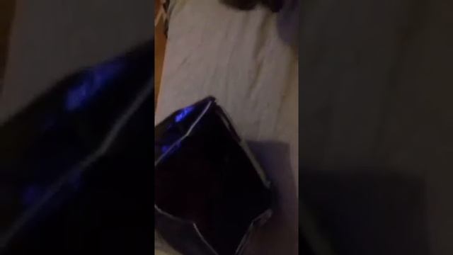 Наш кот любит чипсы офигеть ! смотреть онлайн
