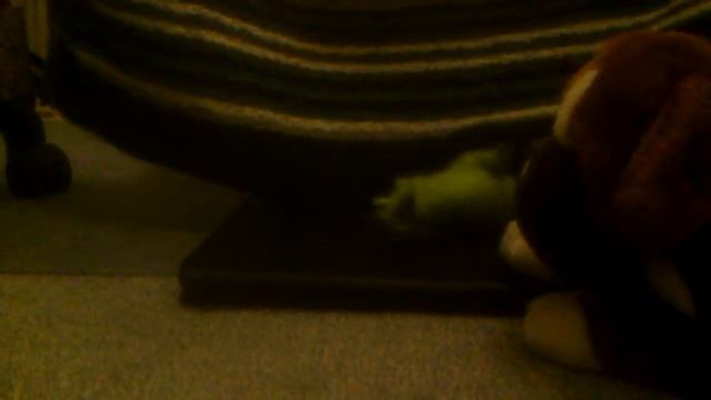 Супер смешная ящерица 2 серия смотреть онлайн