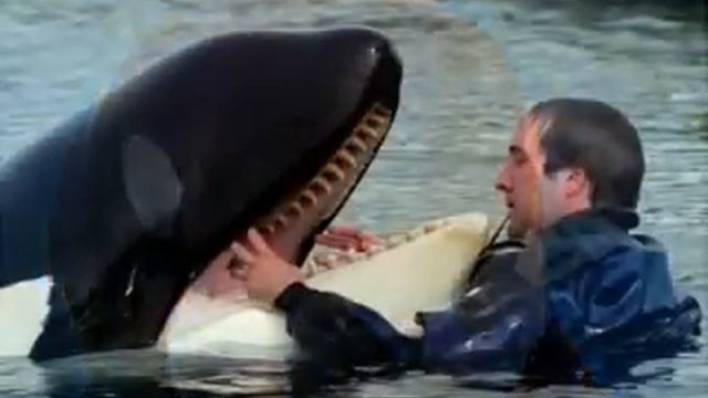 In Loving Memory Of Keiko смотреть онлайн