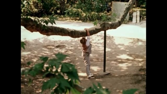 Крики бабочек - Душечка Ольга Семёновна смотреть онлайн