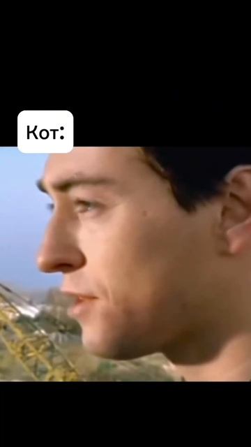 #кот #порвалштору #кошка #всервет #сашабелый #котимуха #видео #юмор #юмористическийролик #ржунемогу смотреть онлайн