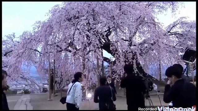 романтический осены🌺офицалный клип смотреть онлайн