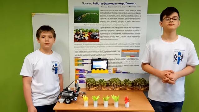 VID 20180531 195254 смотреть онлайн