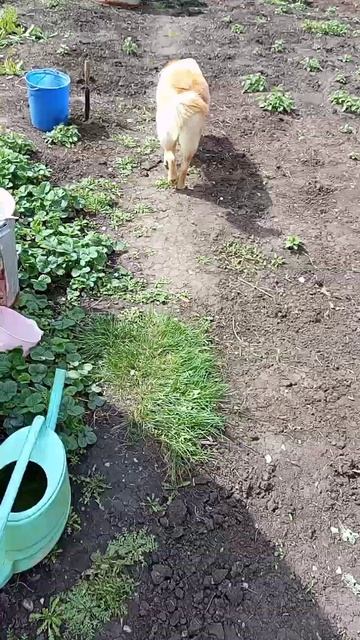 29 мая 2024 г. смотреть онлайн