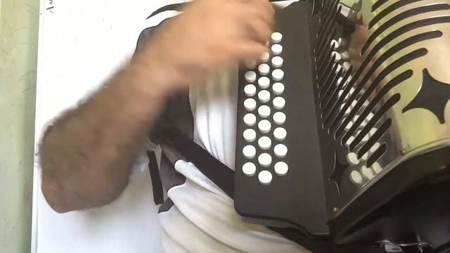 Mira oye tigrillos acordeon instruccional Sol смотреть онлайн