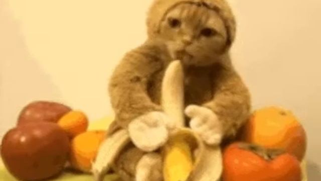 Кото банан) смотреть онлайн