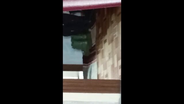 Первый влог Феликса !?😨