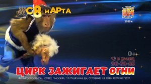 Цирк Зажигает Огни