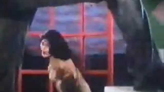 Nasrin With Shahin Alom Bangla Movie Hot Song