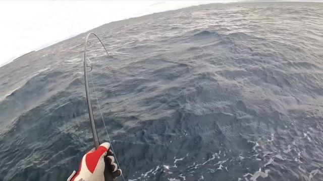 [AnglersOutfitter CH] Team Accurate top water light game for Yellowfin Tuna in Fiji island I. смотреть онлайн