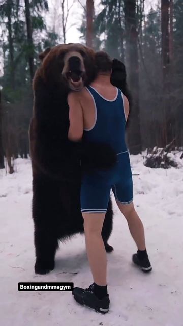 Bear and human ship, just look 😨😰 #Weirdvideos1 смотреть онлайн