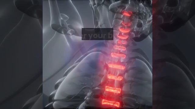 Benefits of an active lifestyle смотреть онлайн