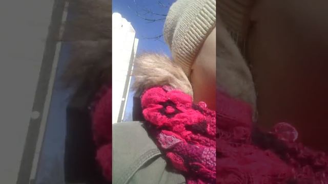 VLOG :Гуляла с собакой 😌😌😌 смотреть онлайн