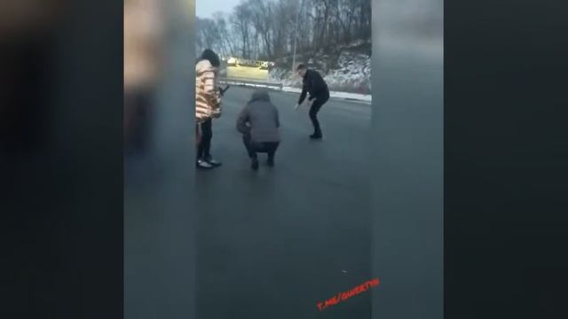 Тигр гуляет по дороге смотреть онлайн