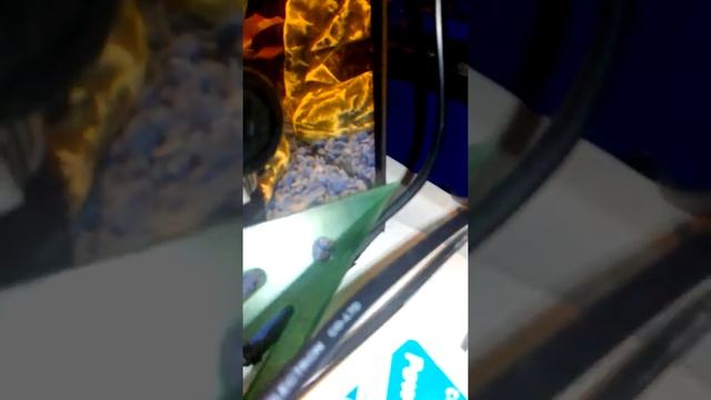 1 часть рыбы и их рост смотреть онлайн