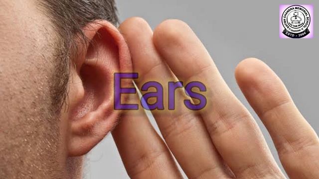 D.S.O || Sense Organ смотреть онлайн