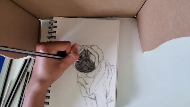 Graphite Pug Drawing (Part 1 of 2) смотреть онлайн
