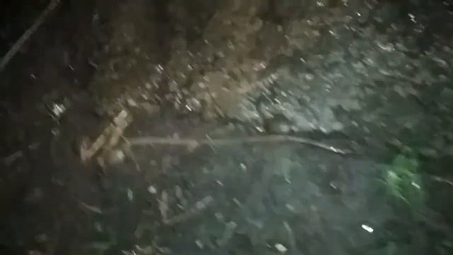 Нашестя черв'яків смотреть онлайн