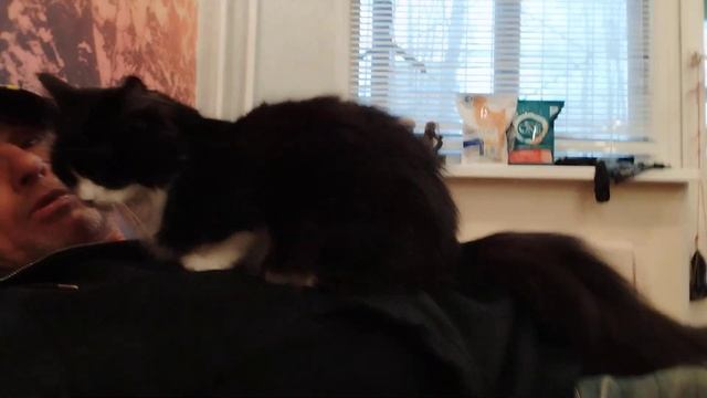 Мура маленький Мяу хороший 13 Января 2023. смотреть онлайн